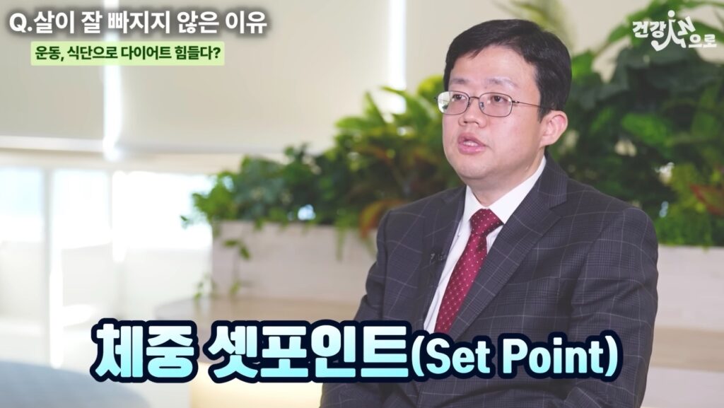 평생 뚱뚱했던 제가 비만치료제를 결심한 이유