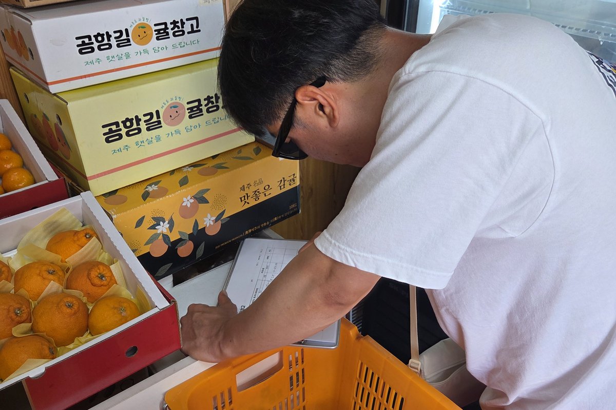 공항길귤창고에서 선물용 귤 상자를 포장하는 모습