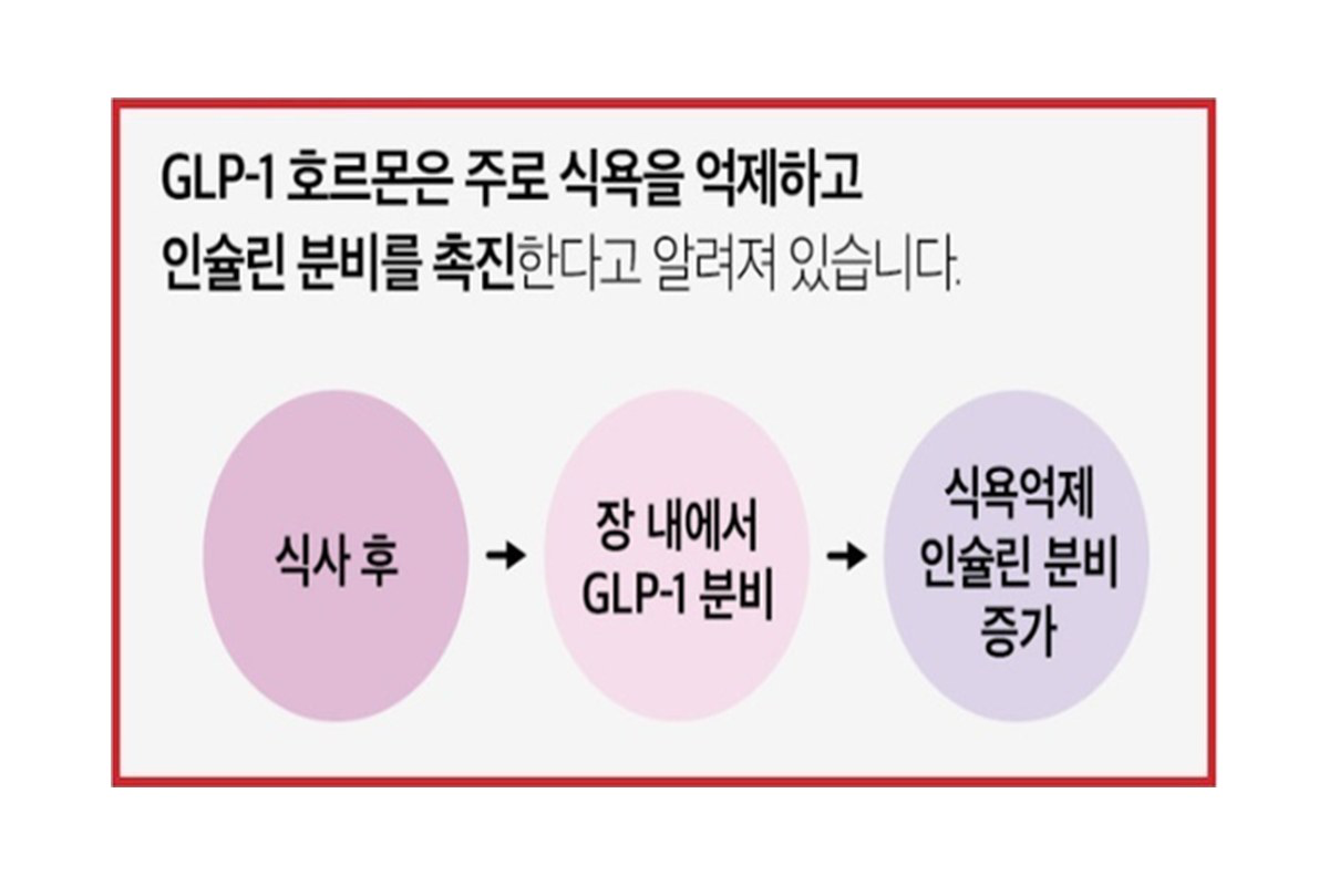 GLP-1 호르몬 도식을 활용한 일반식품 부당광고 - 식약처 적발 사례