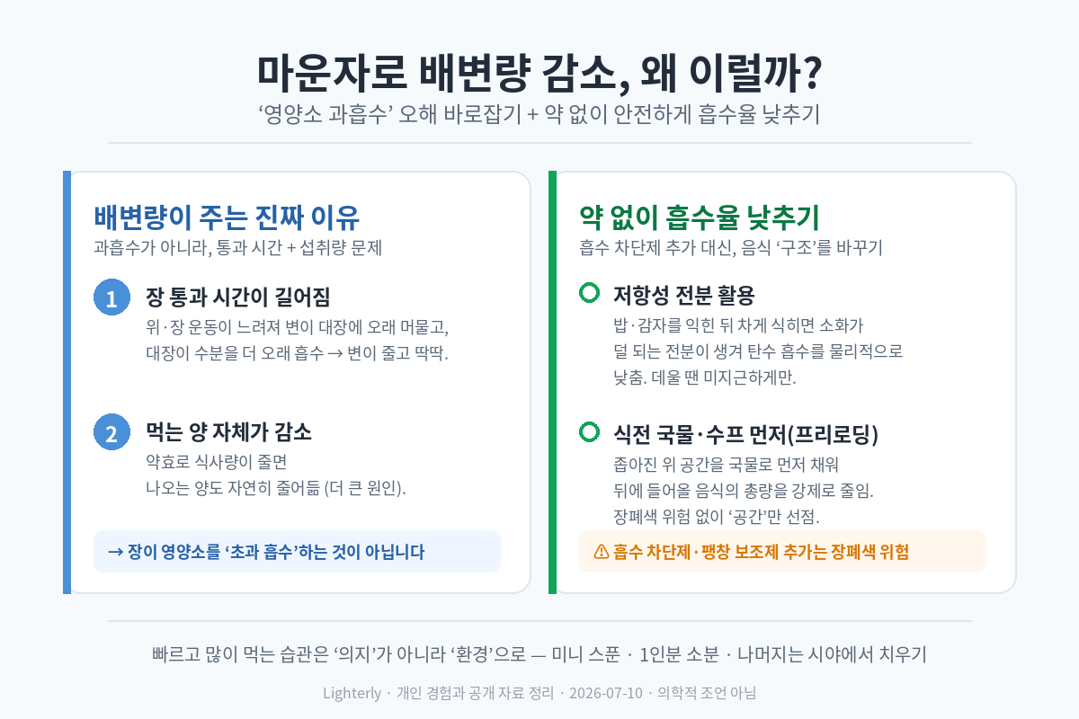 마운자로 배변량 감소 흡수율 관련 글 썸네일