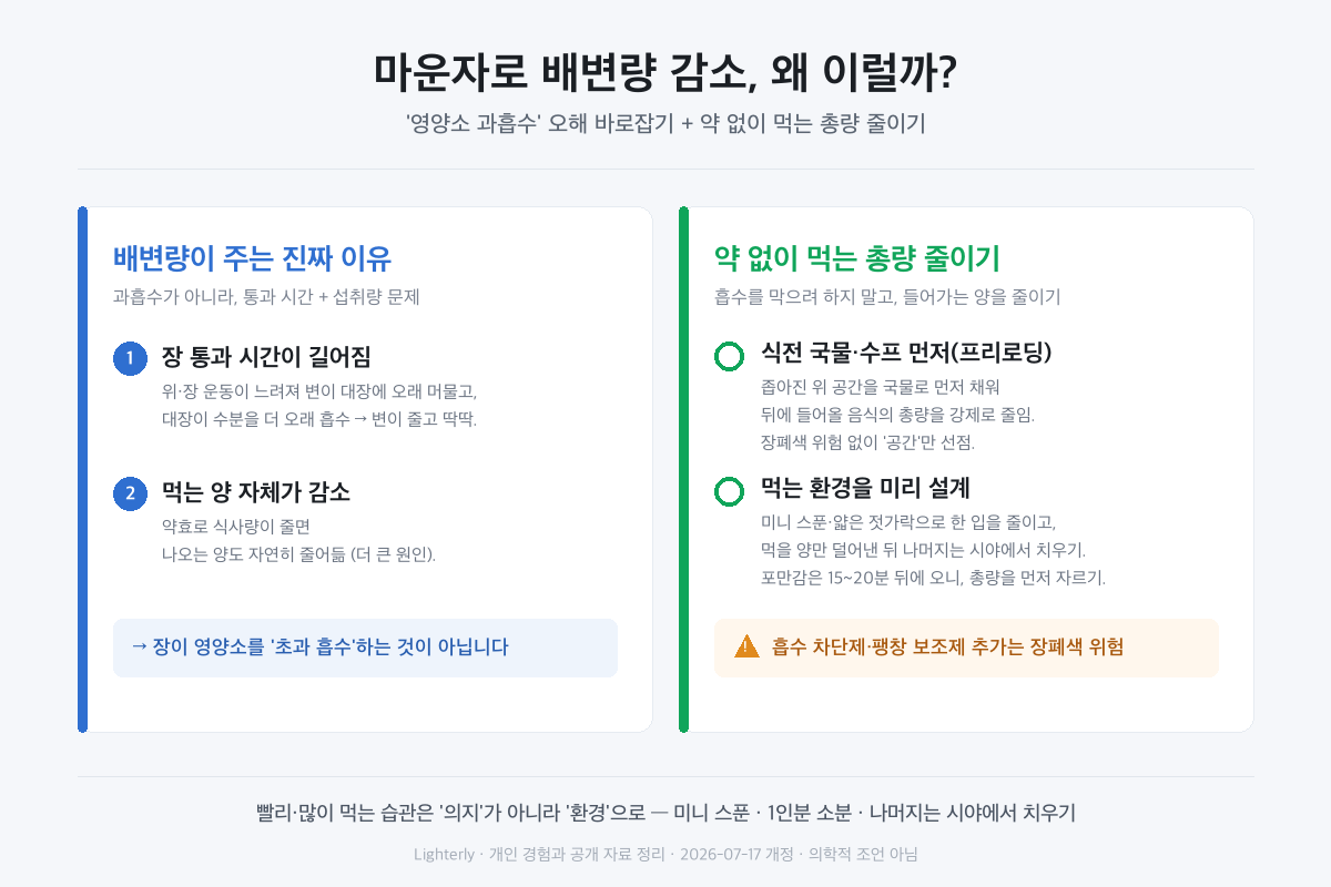 마운자로 변비 총정리