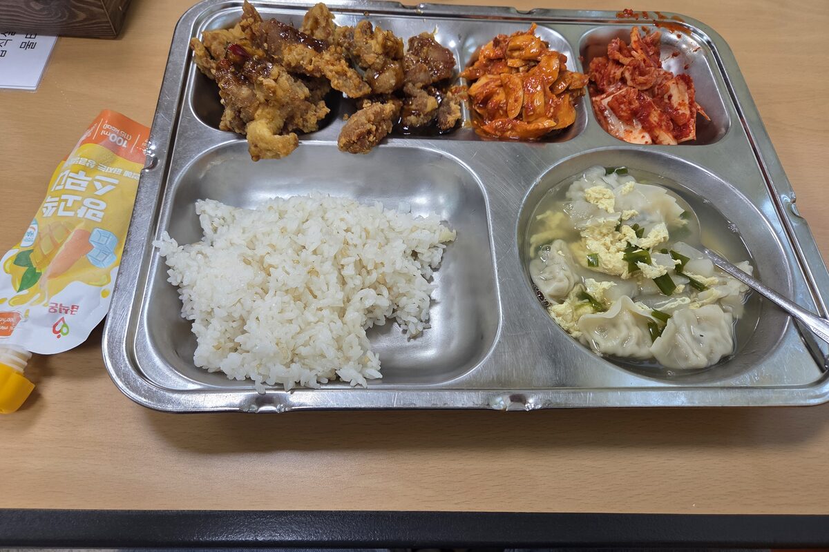 마운자로 19일차 저녁 식단 찹쌀밥과 물만두달걀국, 돼지후라이드, 새송이초장무침