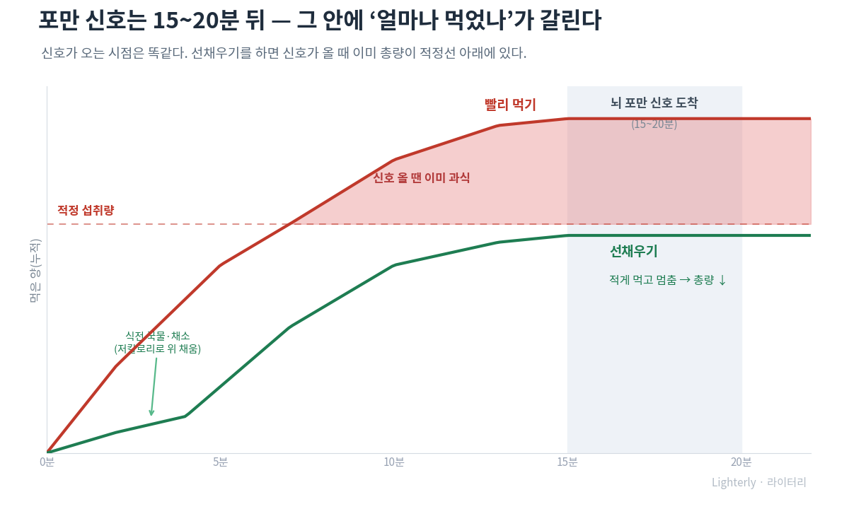 마운자로 식사법, 빨리 먹는 습관이라면?