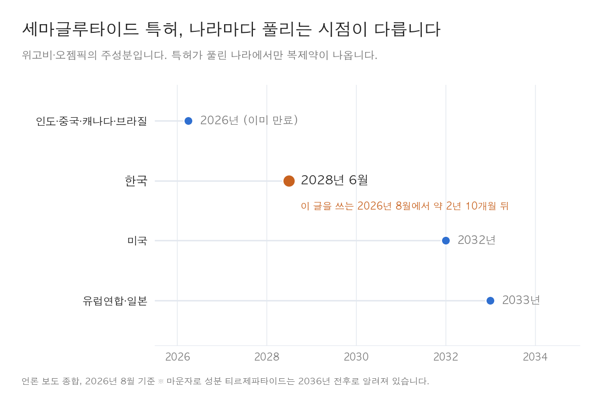 위고비 복제약은 언제 나올까