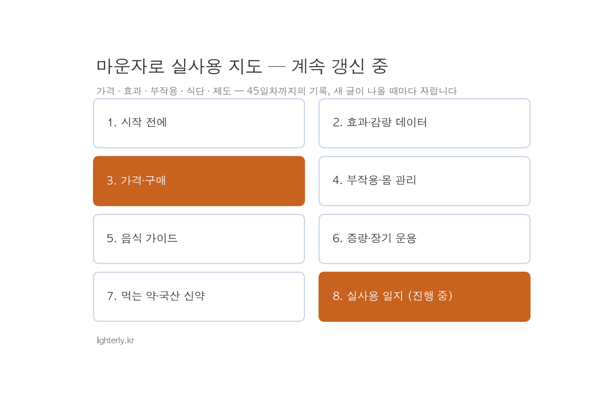 마운자로 실사용 지도 허브 썸네일