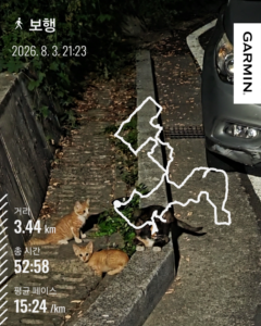 마운자로 46일차 트림을 가라앉히려 걸은 밤 산책 기록 3.44km 52분 썸네일