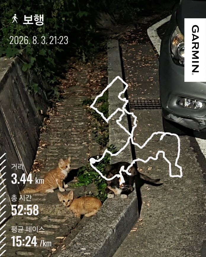 마운자로 46일차 트림을 가라앉히려 걸은 밤 산책 기록 3.44km 52분