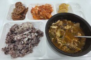 마운자로 47일차 저녁 식판, 얼큰한 소고기국과 동그랑땡 썸네일