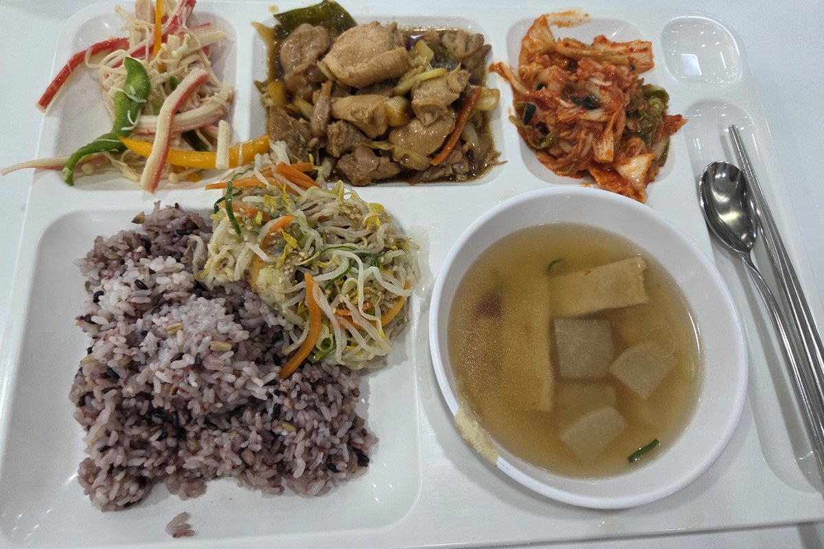 마운자로 48일차 점심 식판, 잡곡밥과 간장 찜닭