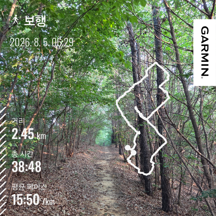 마운자로 48일차 새벽에 깨어 걸은 숲길 아침 산책 기록 2.45km 38분