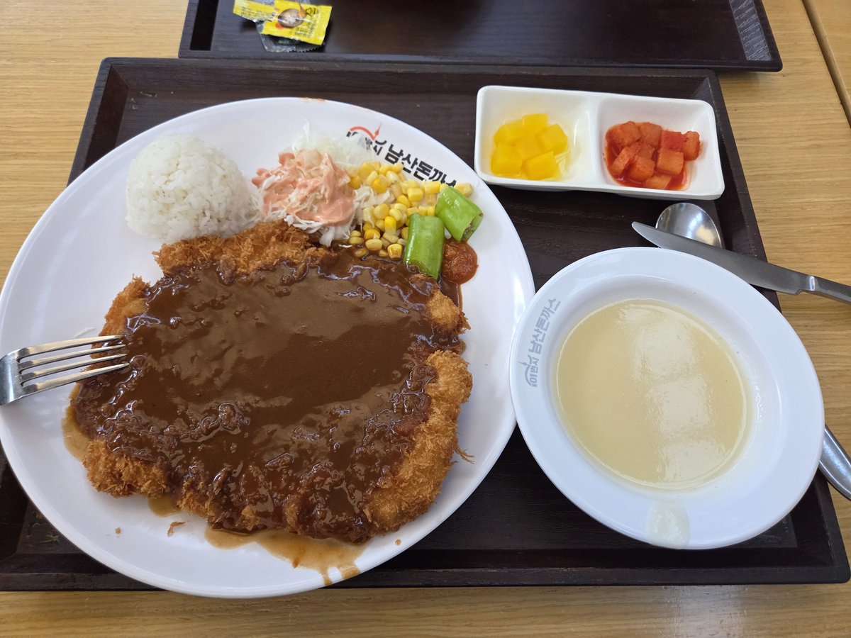 마운자로 55일차 저녁 고속도로 휴게소 남산돈까스 한 상