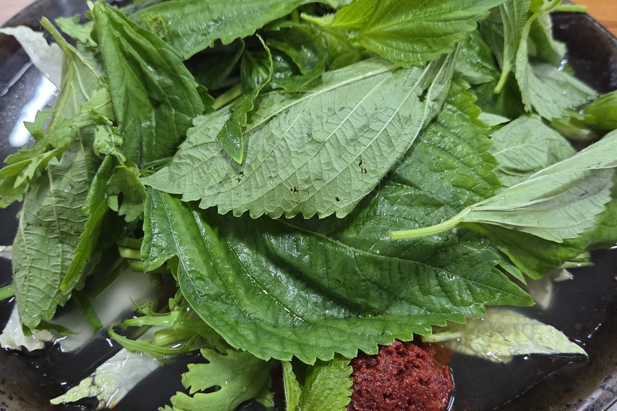 마운자로 10주차 주간 결산 썸네일